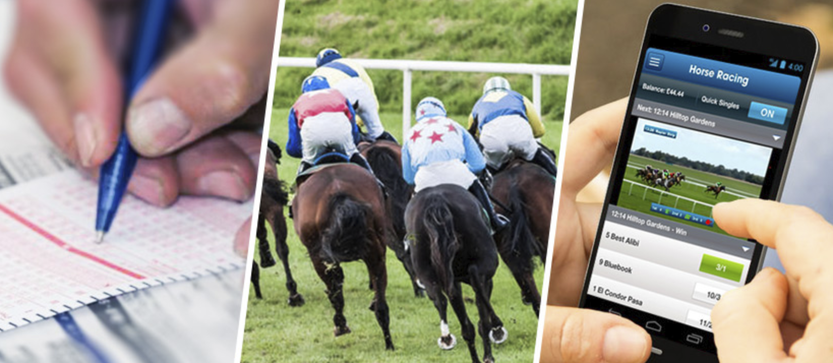 The Basics Of Horse Racing Betting Every Beginner Must Know